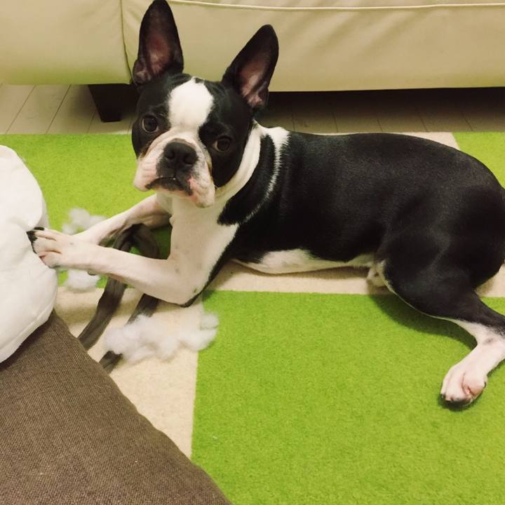 Fca697fb 3bdc 4d96 ba76 51896cc800e1