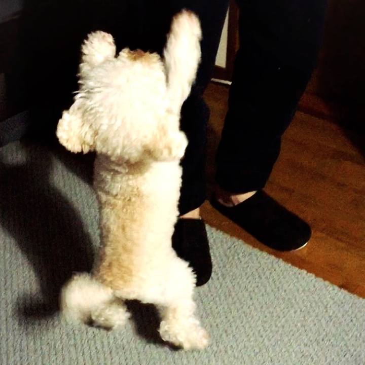 Fca6f0f5 d82b 4930 9fba 9e533d136e01