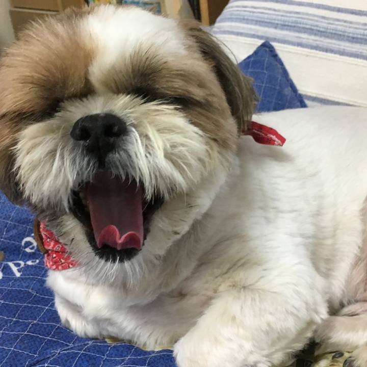 Fca72864 ed96 44f9 ac8b a8865d4dff58