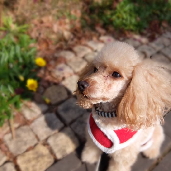 Fca762e8 2ff7 4e7c a33b f606cae9fafe