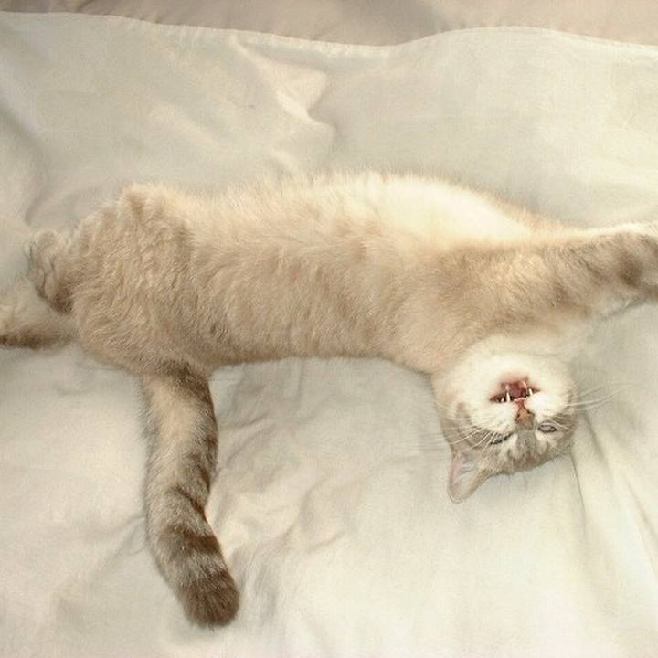 Fca8aea4 d8b5 434b 82f0 47ace8ec73ec