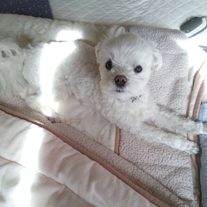 Fca8b258 d843 4d7b baf9 9b1cd9e2f946