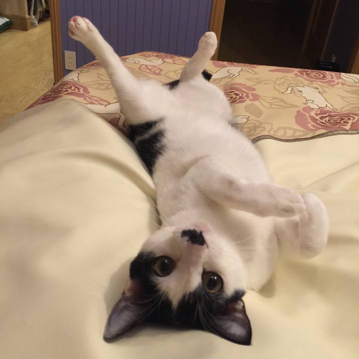 Fca8b2db 4375 4ca2 90b9 50f8bf8889c6