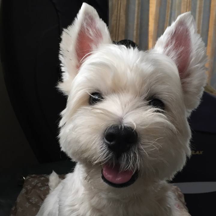 Fca9dd33 da90 4cf1 aa48 ad0ae82a1556