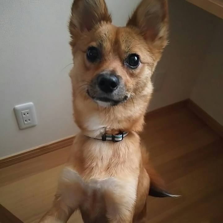 Fcaa26ea ae51 415c bae0 ea13f8bba622