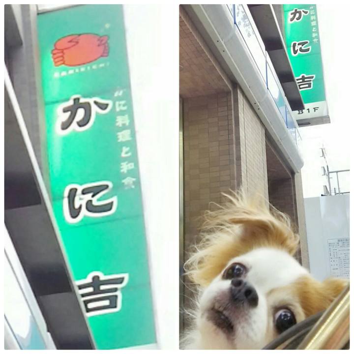 Fcaa2bb4 0fd8 420d 9cc9 6453acb1613f