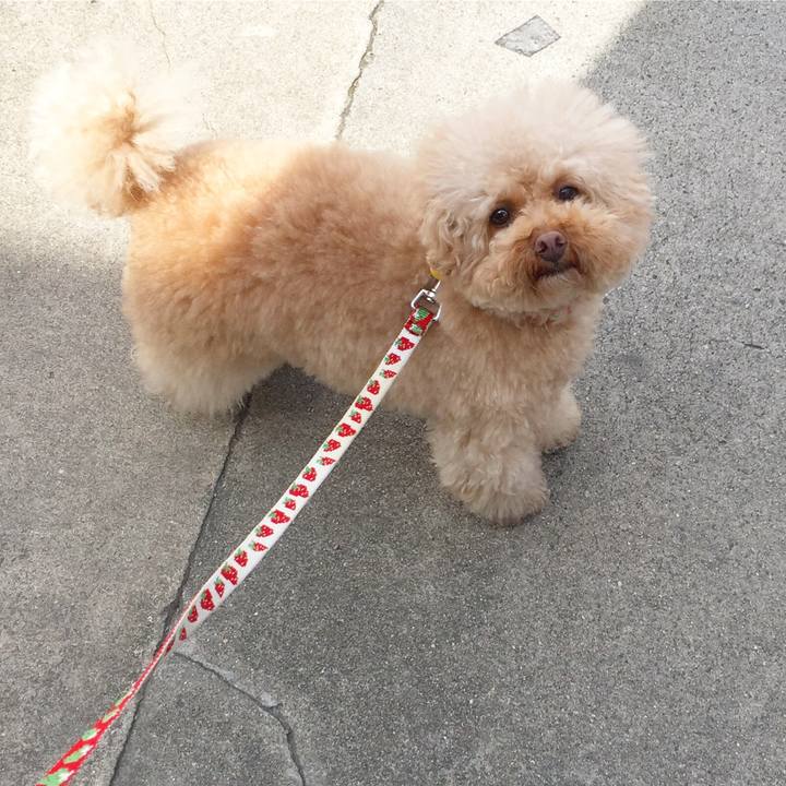 Fcaa4ac7 7388 4b84 8792 c59c8cab9c1a