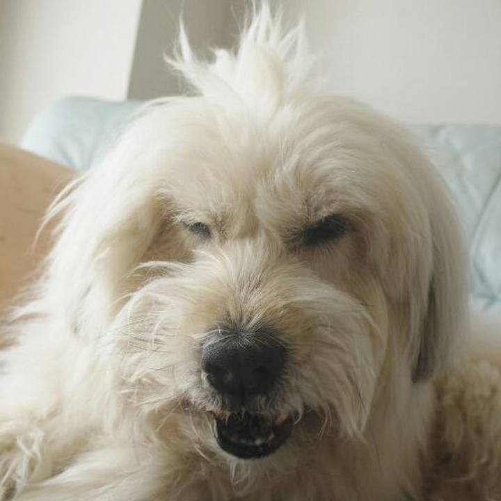 Fcaa8251 3201 4e93 84c6 a8d4c0b9b14f