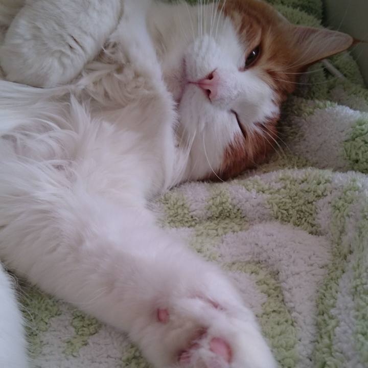 Fcabbfb0 0e1f 4ffb 935b aff6ba8c98d7