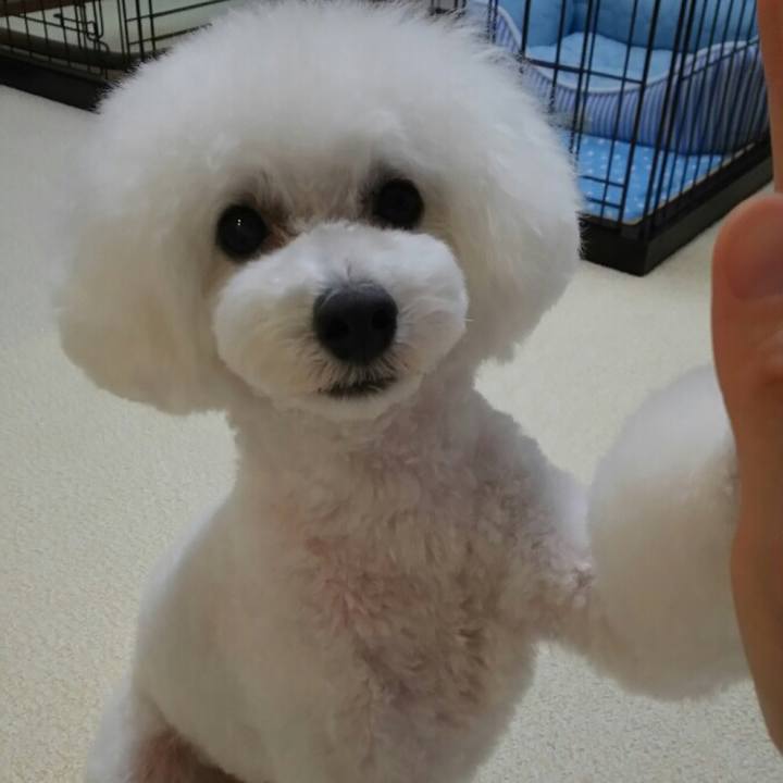 Fcac0fb0 bd06 45e5 b690 00300fb9ec1f