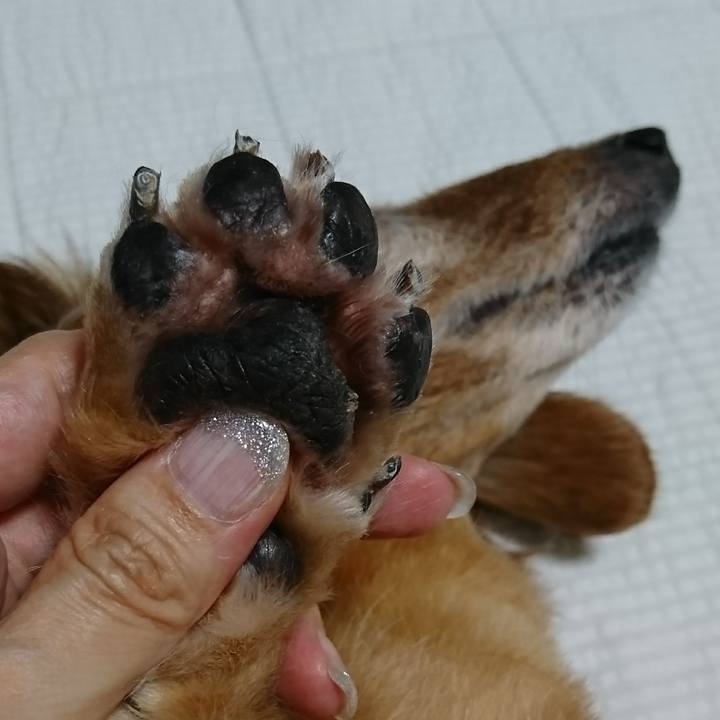 Fcac21bf 4d07 465c 8dff 76400c9efbbb