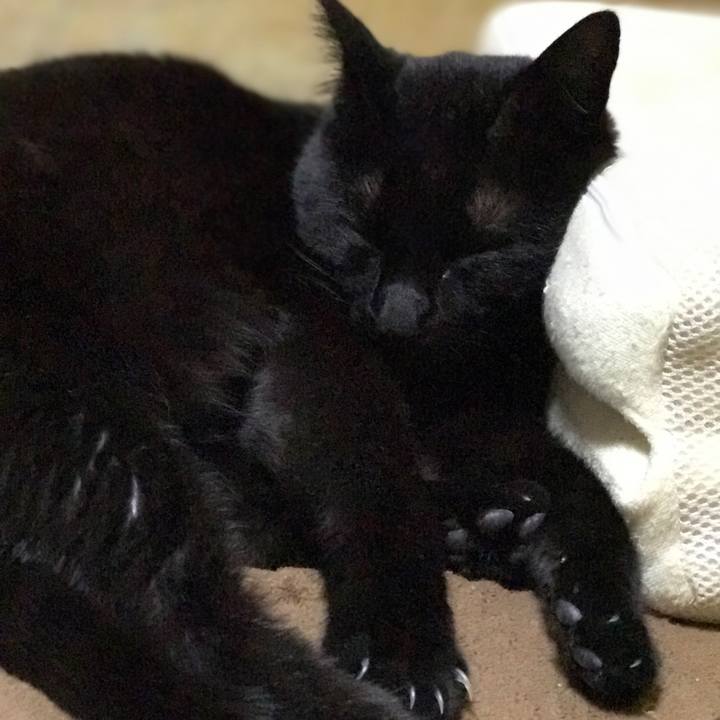 Fcac93bd aeac 4e6a b4a5 38daf81fe9eb