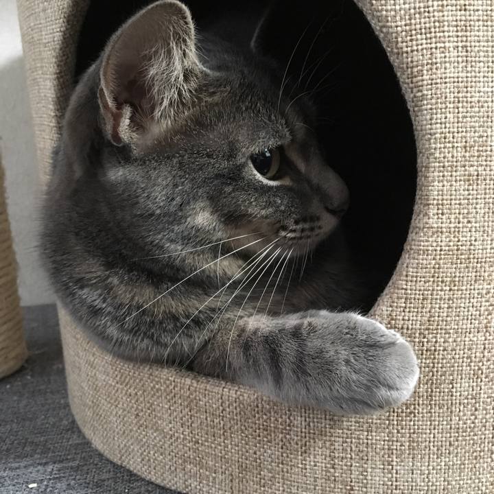 Fcac9e9a 17e8 466b 9d9a 5c9cea8e5fd5