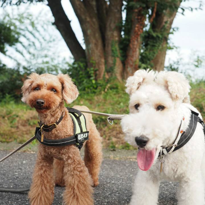 Fcad2c02 e229 462a 9b5b d7f82fc4a014