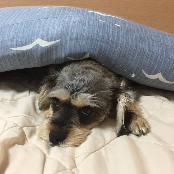 Fcae20e3 6239 4033 8341 e77c9539232d