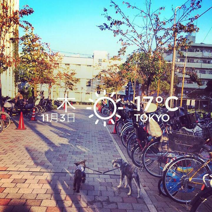 Fcae8f92 7890 481d 9977 abb022e4c551