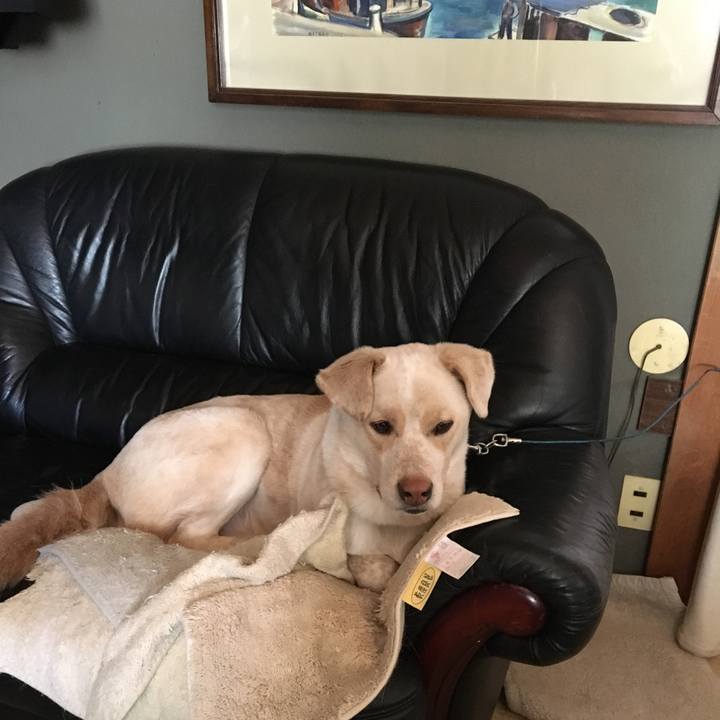 Fcaec1f2 d9bb 4826 8c70 f4cdad96c4ca