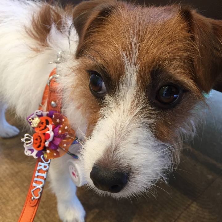 Fcaeed42 7bd3 418a bb3c 66f5243b2d40