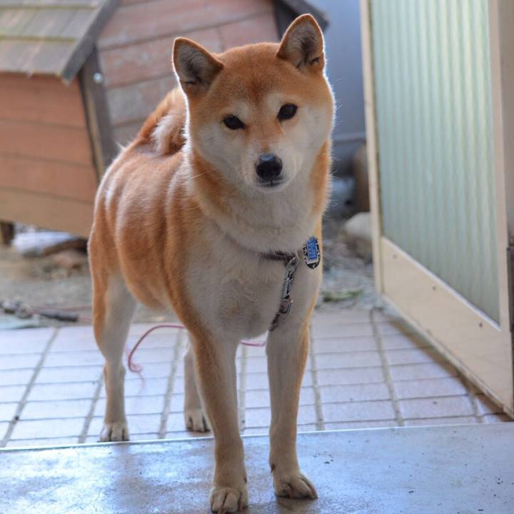 Fcaeff66 67b1 4488 a2fb 2437c0764d24