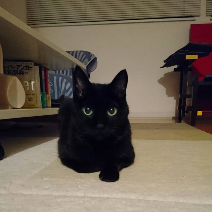 Fcaf1b58 57c2 4764 9bfc 66f66dfce34c