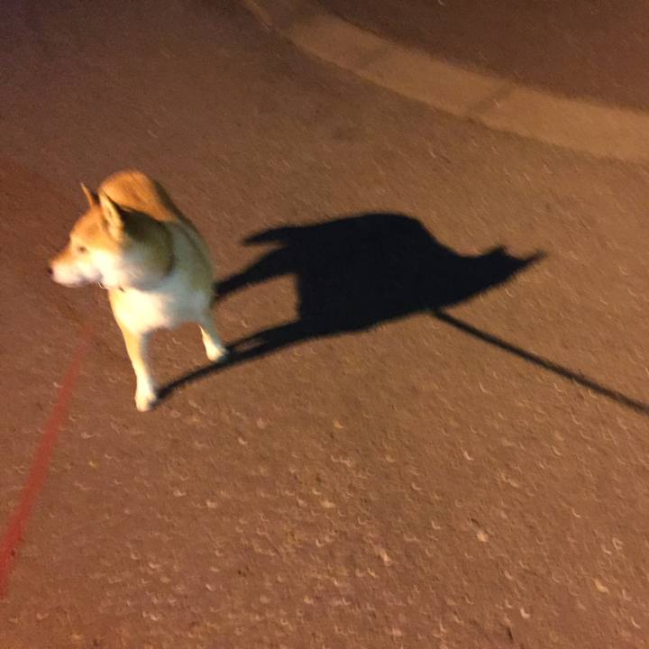 Fcaf7066 36ae 4475 b2d1 c1a405ba820c