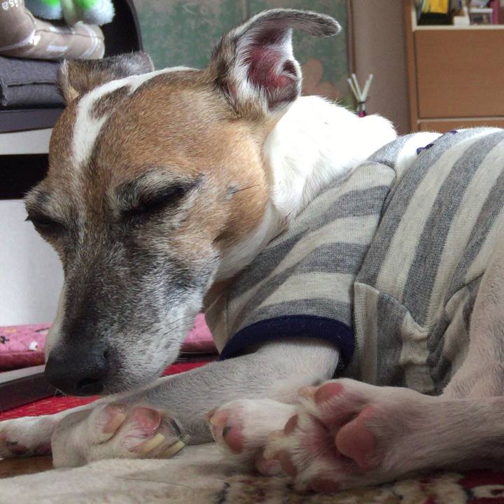 Fcaf84fe 1fe4 48f7 a125 ae22f50fcf0b