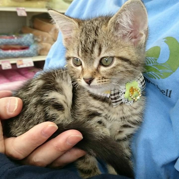 Fcaf95d7 b5db 4573 b660 661a2f363812