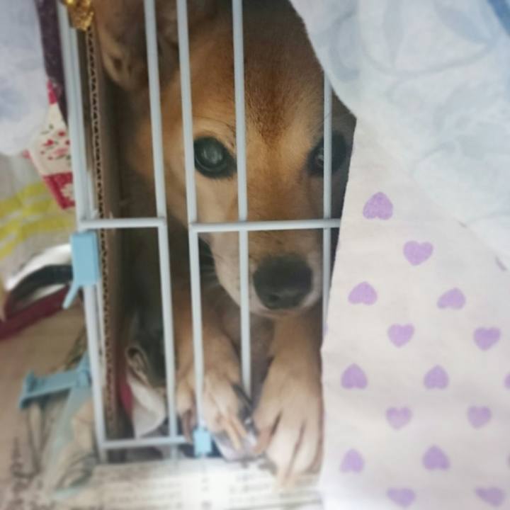 Fcafef25 18dc 4779 994c 4db06ee156f2