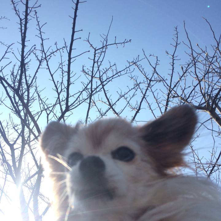 Fcaff367 8c12 4589 aa44 04e52d448716