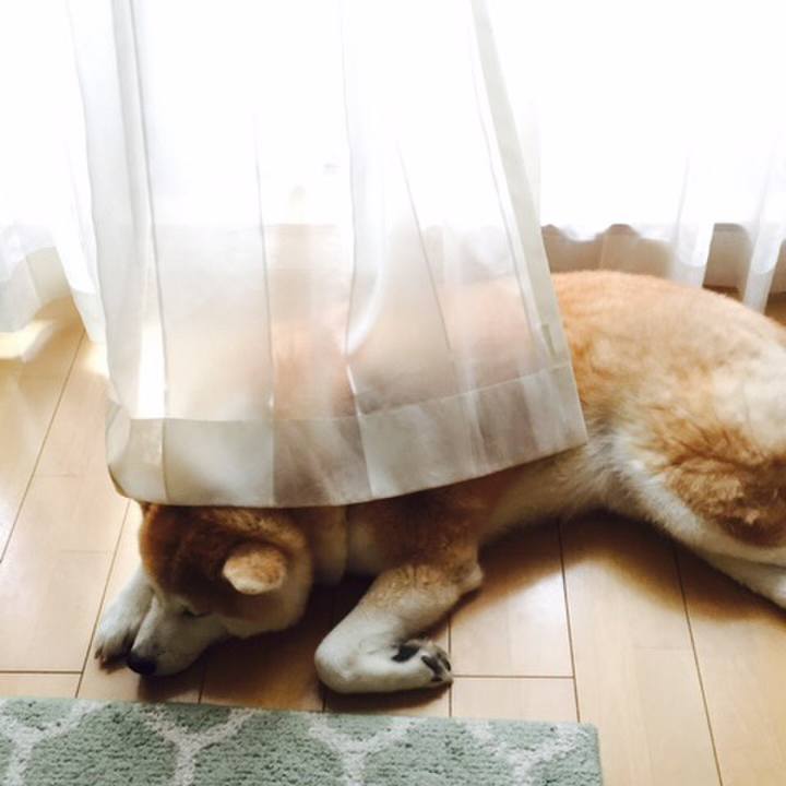 Fcb02253 03bb 489d a955 a59770296bab