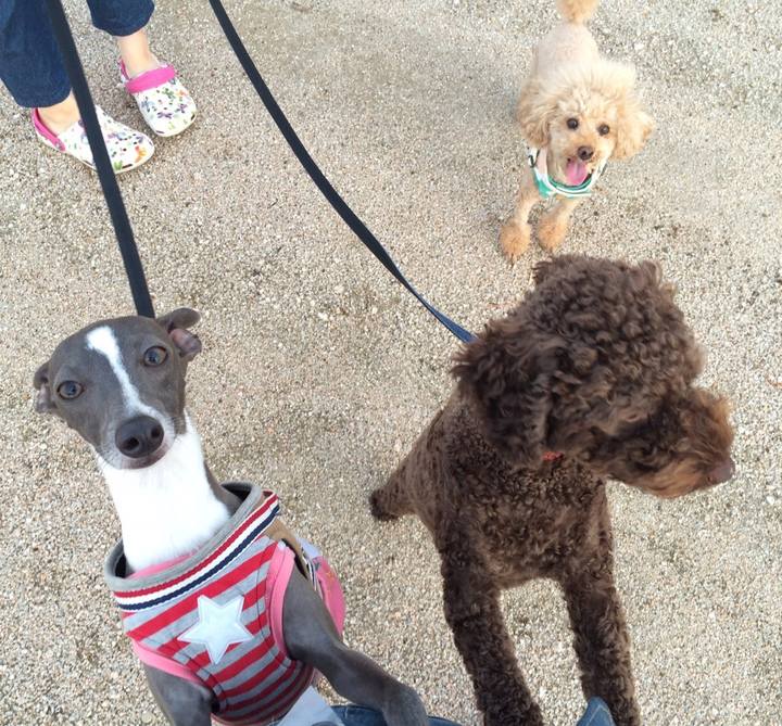 Fcb05b8c f187 4307 a6f1 a4a5ade51886