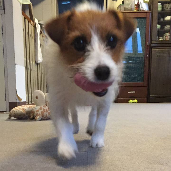 Fcb0655a 4baf 405c 8dd1 bd1fd3d0dcba