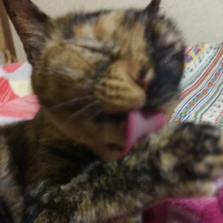 Fcb08514 d275 4e49 8ac3 29bd04c38cbd