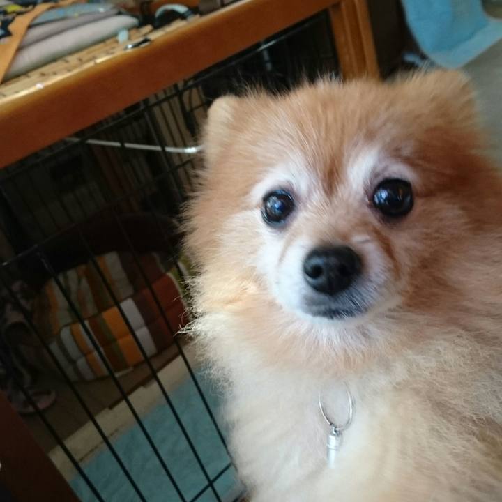 Fcb12bbd 12fe 4721 ab27 244104d3b53f