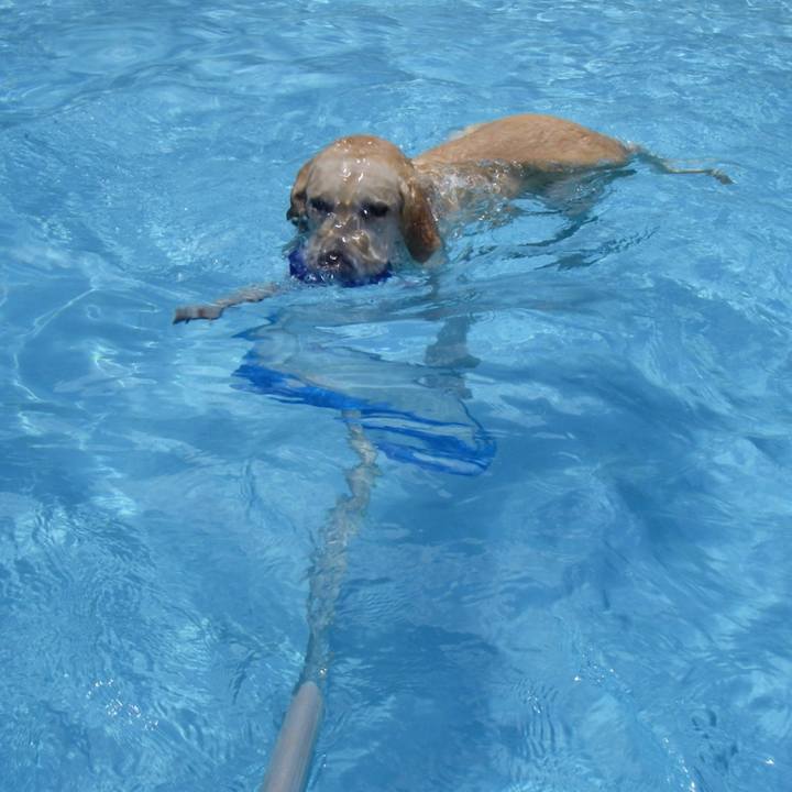 Fcb135b2 c135 48e9 90ea ba216670260a