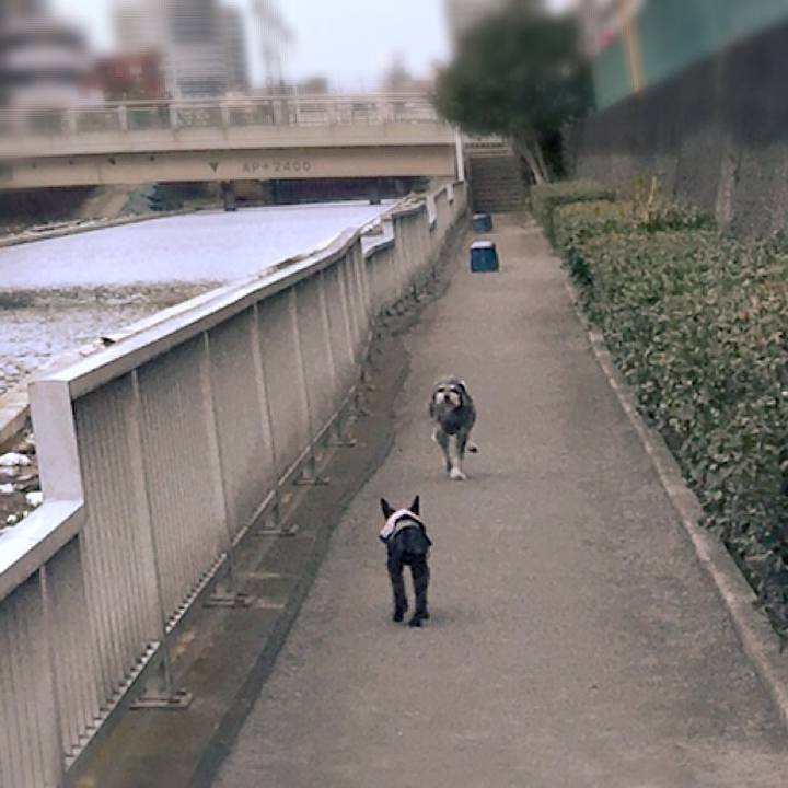 Fcb1c7be 0f5d 45e4 9927 6e0f46e2da30