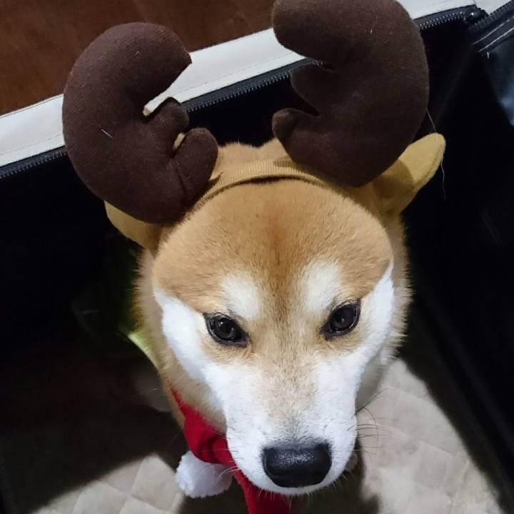 Fcb1e2fd 78a2 4e7d 9efd 9fde027b2431