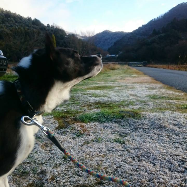 Fcb232e4 f9b2 40f8 a745 a195ffb67e2a