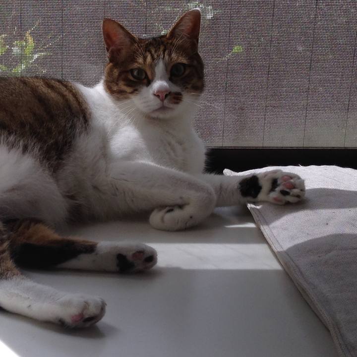 Fcb23d7f aa87 490b b426 ff225b70fae1