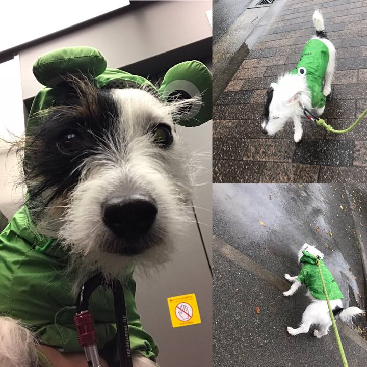 Fcb2a3da 8f99 4309 a52a d95959a3b992