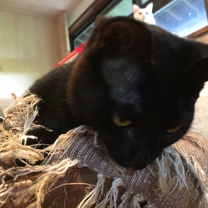 Fcb2c5e1 6233 4db5 8132 808b3892c832