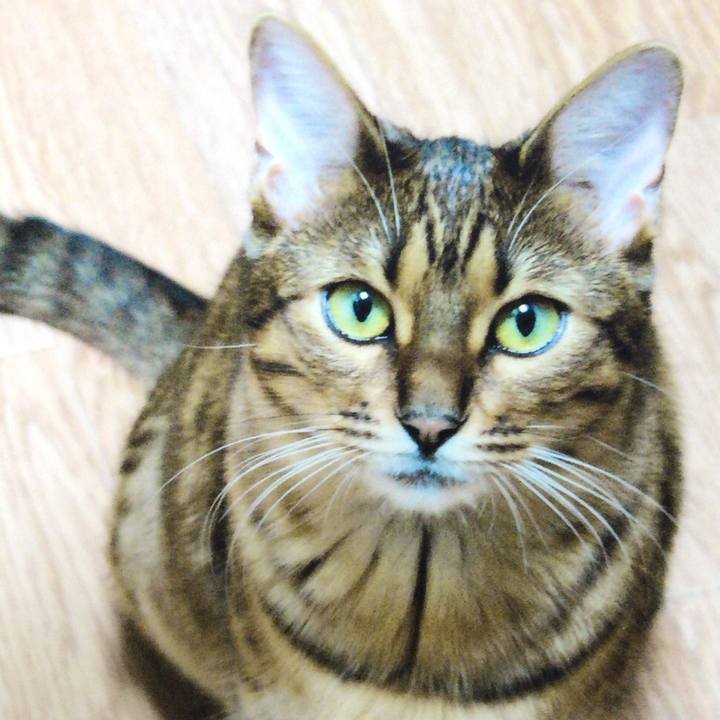 Fcb381f0 0891 4b1e 9df5 f602a0044466