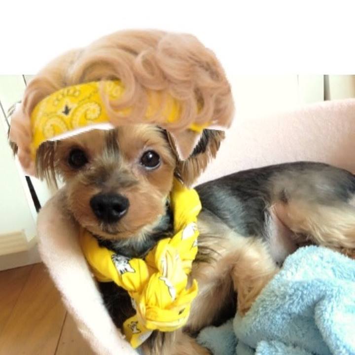 Fcb3b5a1 29ec 4ce4 b31a 72ce3f4fefb7