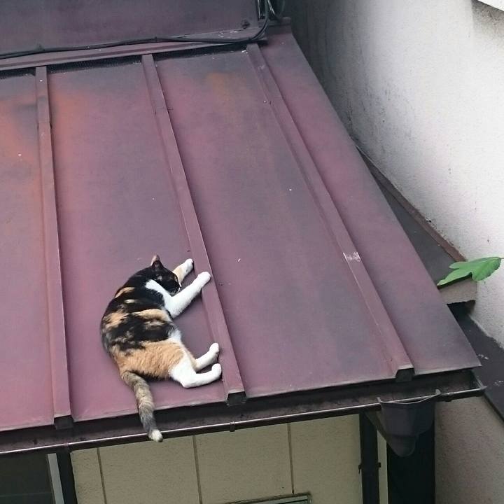 Fcb5a78b f01f 4f8b a5ab 854c935bc1d1