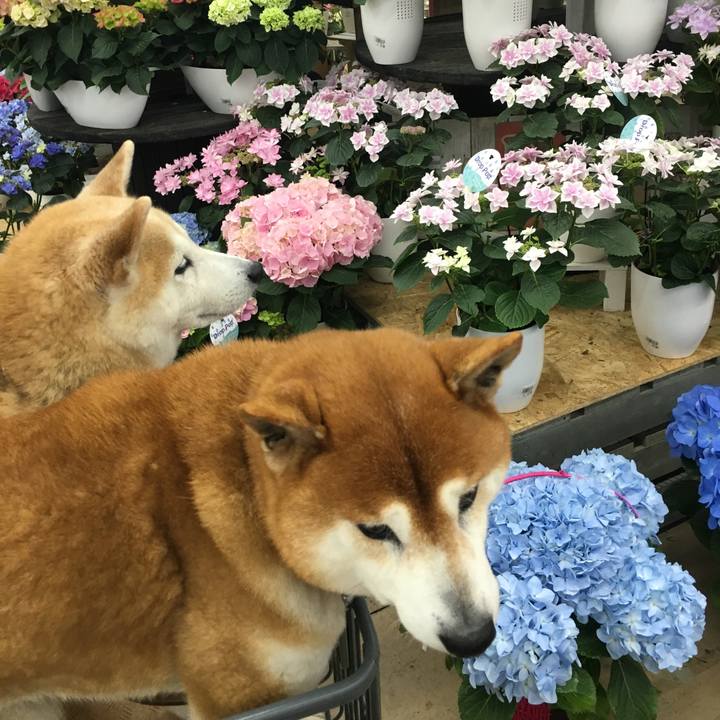 Fcb5cc58 56c7 4b5b b76d 474178aa687e