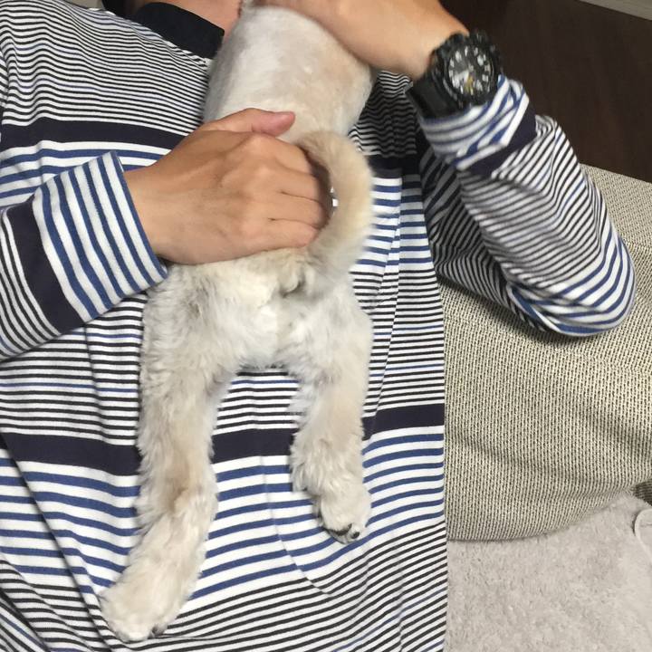 Fcb6053e c688 40c3 8c1d c3d066263741