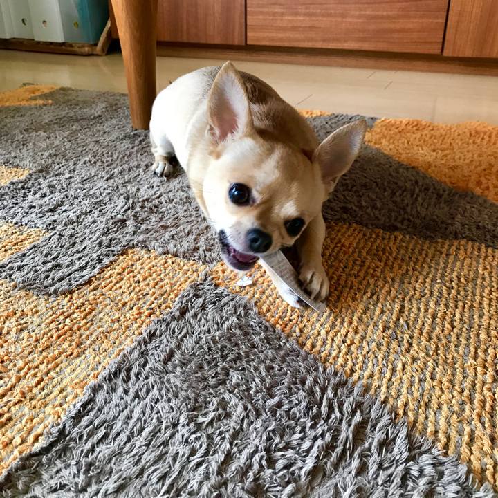 Fcb6ab07 2b01 4e55 9f3b 1323d9216671