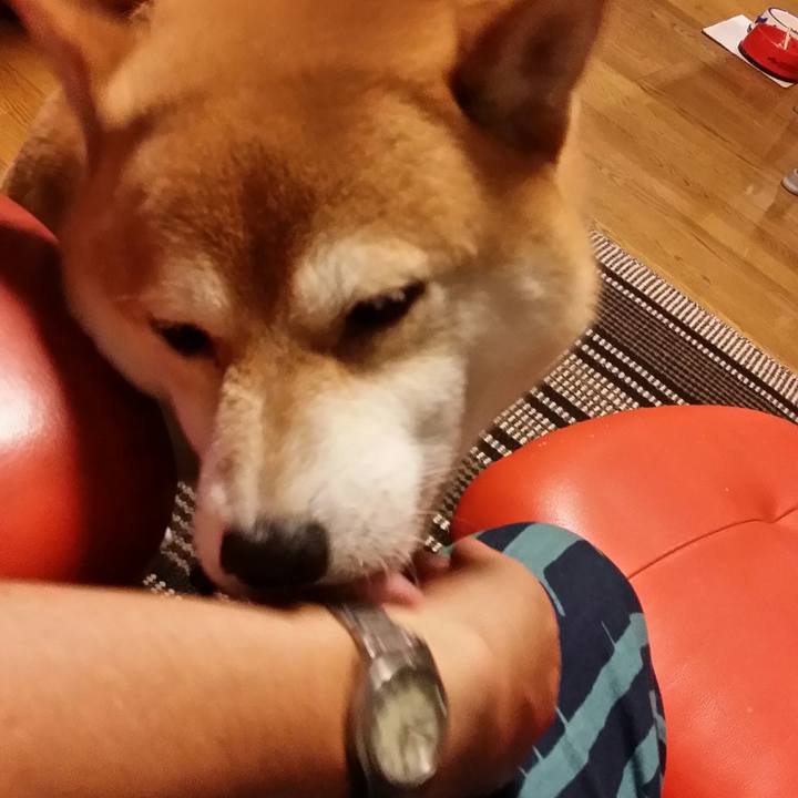 Fcb7f06f f0b6 4049 a407 be72cabe41b2