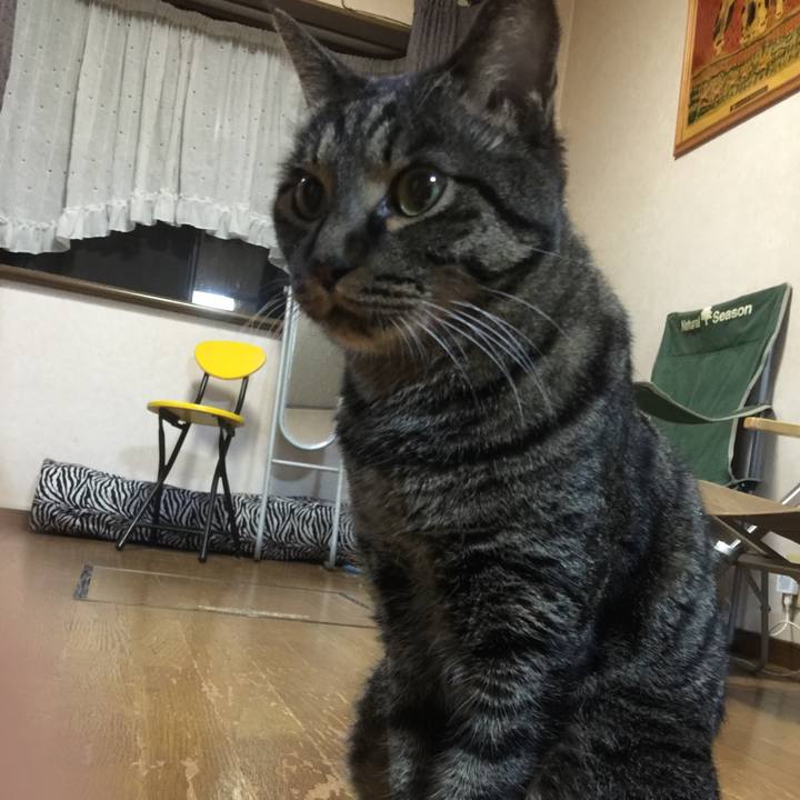 Fcba2ef8 5afc 4f05 a9a3 7e3e8f023d41