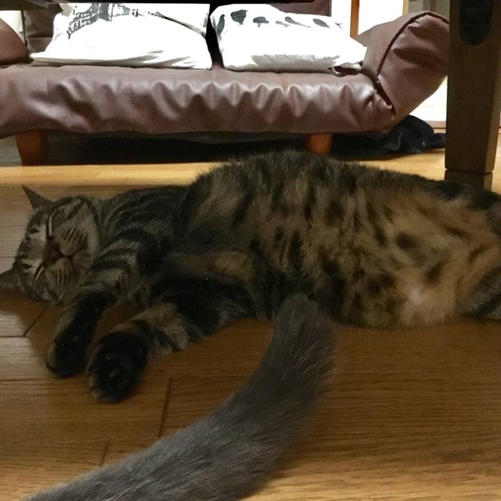 Fcbae1a9 075a 4c31 a8fd c1b3854dd526